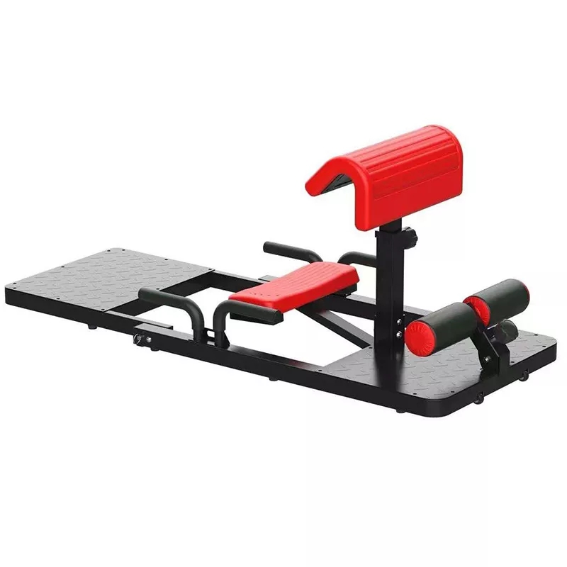 Home Gym Quad Exercises - Sissy Squat Machine 3-in-1 Home Gym