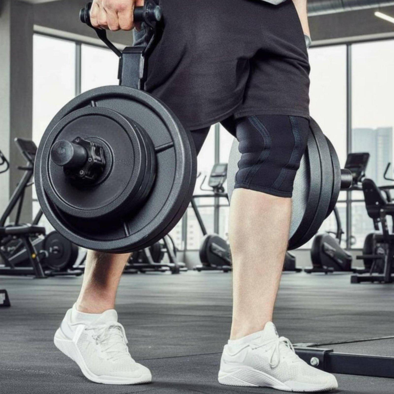 Multi-size Barbell Plate Holde - Home Gym Rack recension och pris