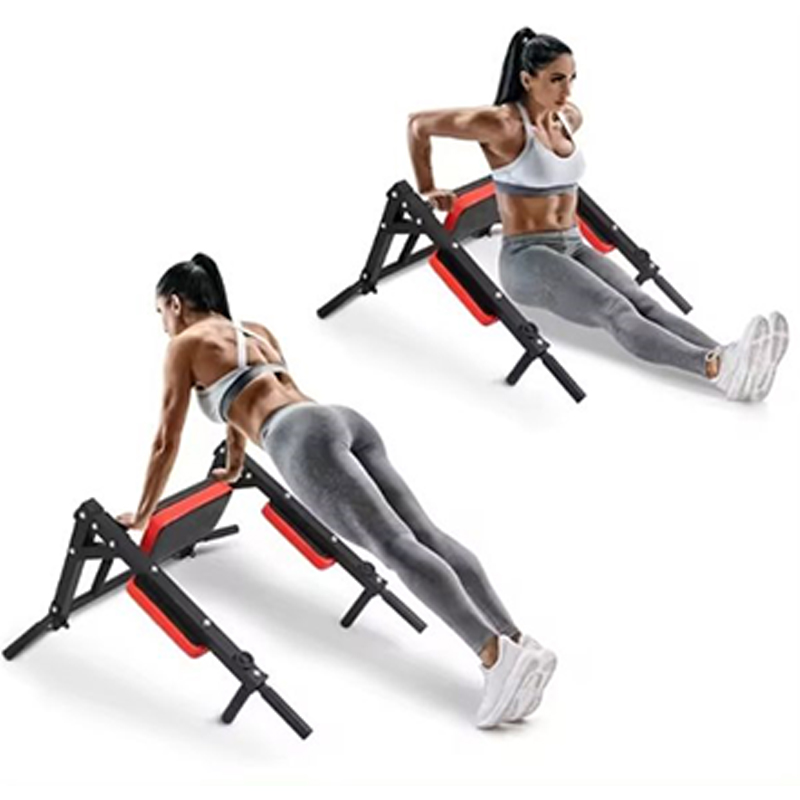 Heavy Duty Wall Mounted Parall - Home Gym Wall recension och pris