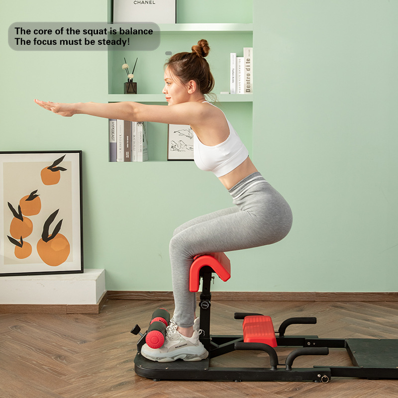 Sissy Squat Machine 3-in-1 Hom - Home Gym Quad Exercises recension och pris