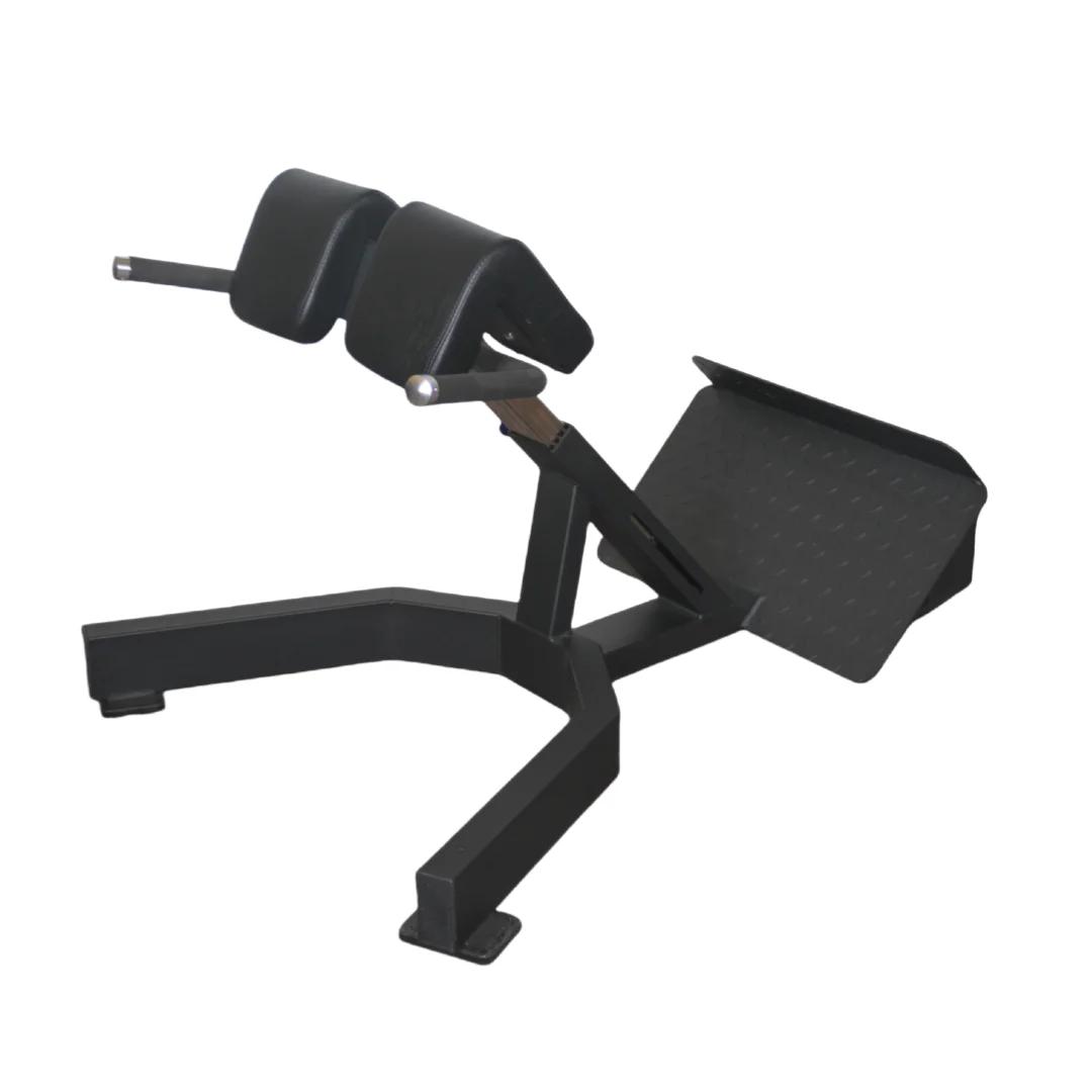 Factory Price Roman Chair Back - Home Gym Leg Extension recension och pris